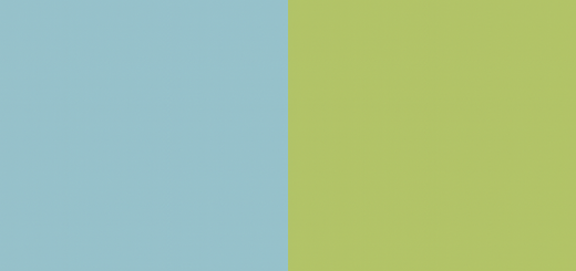 Habillage revue Com et professionnalisation